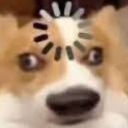 A dog with wide, startled eyes and a spinning loading icon over its forehead.