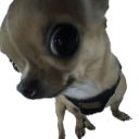 sus custom emote - ToxicToes