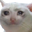 sad_cat Discord Emoji from RIZZ HEAVEN | Chill • Hangout • VC • SFW • Events • Friends • Giveaways • Ask to DM • Non Dating