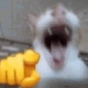 Screenshot_20251122_112416_Pinte custom emote | ✧･ﾟ: ✧･ﾟ: 𝙎𝙩𝙧𝙖𝙮𝙨 :･ﾟ✧:･ﾟ✧