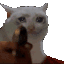 teamkill animated Discord emote | GintaSuperesse