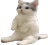catsit2 Discord Emoji - Reality Awaits