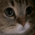 y_oh animated GIF emoji | Friends 18+ Sfw | Adults-only • active-chat • Mature • Friendly • Gaming • Lgbtq+ • Hangout