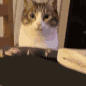 nom animated GIF emoji from Makai 18+