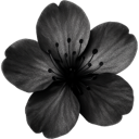 qflower Discord sticker - ﹙⌕﹚　﹫SYNTHERA　   𓂃⭑