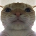 CLS_Pussy Discord Emoji - 𝔇𝔞𝔯𝔩𝔦𝔫𝔤 𓆩♡𓆪's