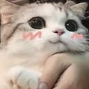 Xieron_stolen_emoji_1779303120 Discord sticker - Vrindavan | 💗👀