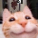 Ginger cat with a wide, smug grin and a :3 emoticon overlay.