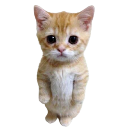 whitekitty Discord sticker - Arcade