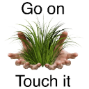 touchgrass Discord sticker - ✦Sleepy Hollow✦
