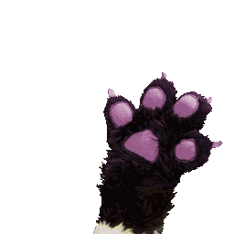 Paw animated Discord emote from FurVibez Community Server