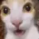 mieo Discord Emoji - West 187 Network