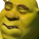 Shrek with his eyes closed and mouth slightly open in a look of deep, pained disgust.