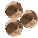 Z_TomaSpinning animated GIF emoji | 弘道老人基金會