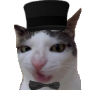 poshcat Discord sticker from Mundo dos Animes - Br