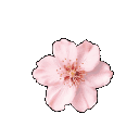 d_nes_zflowerdns0 animated Discord emote - ⛥⁺ 　 𓏺 　 .gg/cosmi