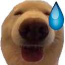 dognau1 Discord Emoji - 𝘙𝘌𝘈𝘓𝘐𝘛𝘠 𝘈𝘞𝘈𝘐𝘛𝘚... but after 24.7