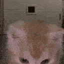 aura animated Discord emote - Cyberpunk Syndicate ☁୨ৎ