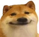 dogSmirk Discord sticker | Lucid Love ☾  Relationship ⭑ Social ⭑ Gaming ☽