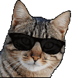 EVs_02Dopeuwu animated Discord emote | UMSTIEG