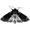057_gothdeathmoth Discord Emoji from Rabbit Hole