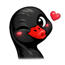 A black duck winking with a red beak and a floating pink heart.