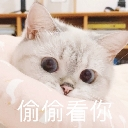 carefulwatchingcat custom emote - 遊戲小鎮