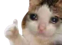 488481catthumbsupsad Discord sticker - We Love The Company