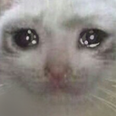 catcry Discord Emoji from GintaSuperesse
