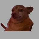 emoji_47 custom emote from 𝐃𝐫𝐚𝐠𝐨𝐧 𝐊𝐢𝐧𝐠  | S1