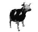 Dancing_cow_animated animated Discord emote - 𝑫𝑹𝑿
