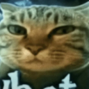 ogue Discord Emoji | Nova Luna (新月)