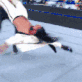 CesaroSwing animated Discord emote | No-Sell Jobbers🤼