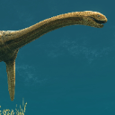 Kaiwhekea marine reptile swimming with its long neck extended.