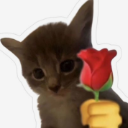 Screenshot20260308005013 Discord Emoji | Lunaris