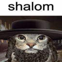 shalomcat Discord Emoji from Michigan Idiots