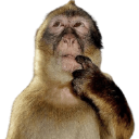monkeythink Discord Emoji - No aceptamos heterosexuales