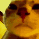 52552catparty animated GIF emoji from MANAVA MULTIVERSE