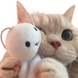 cathug custom emote from FAAAHHHH