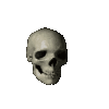 SpinningSkull animated emote - BeeCraft