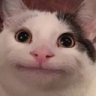 Beluga Discord sticker - Heart.exe