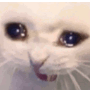 catcry animated emote from Heart.exe