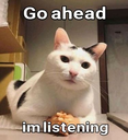 Imlisteninggoahead Discord sticker | Honorary Bro Zone Territory