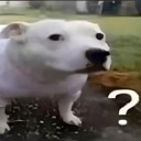 question custom emote | chaosmaxxing