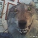 dawg Discord Emoji | Lifesteal Fun