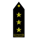 Military shoulder board with three gold stars on a black background.