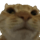 nono animated Discord emote | 𝗖𝘂𝗱𝗱𝗹𝘆 𝗖𝗿𝗶𝘁𝘁𝗲𝗿𝘀