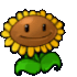 Sunflower from Plants vs. Zombies with a smiling face.