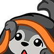 A gray wolf peeking out from behind an orange fabric with a curious expression.
