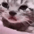 sad_cat animated emote from Make Money Online 💸